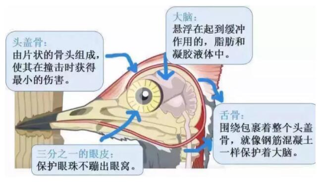 昆明安全帽，安全買冷知識你知道嗎？